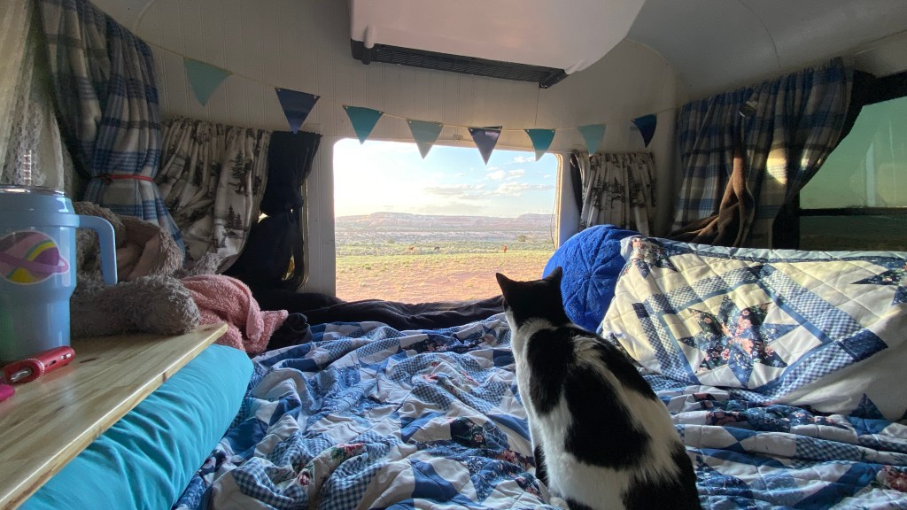 Van Life Bed&nbsp;Views