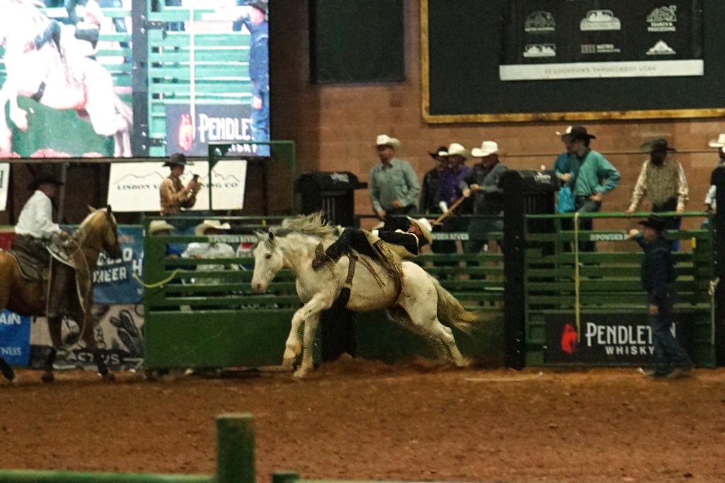 Rodeo Season!